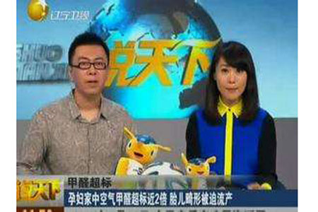 番禺除甲醛公司