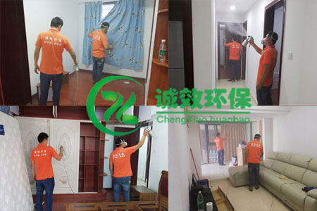 廣州除甲醛公司