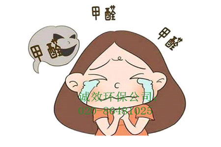 番禺除甲醛公司