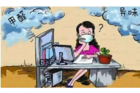 廣州除甲醛公司