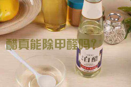 廣州專業(yè)除甲醛公司