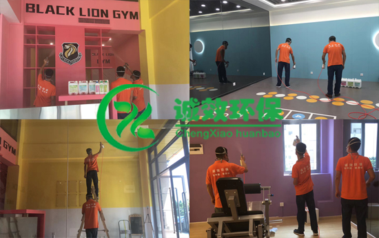 廣州除甲醛公司