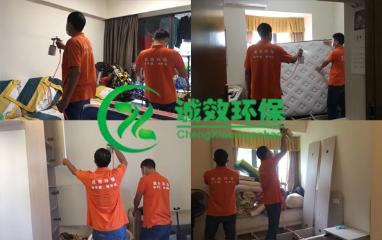 天河除甲醛公司